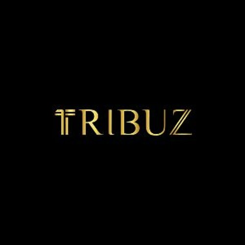 Tribuz - Best Interior Designers In Gurgaon