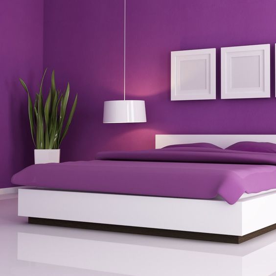 White and Purple