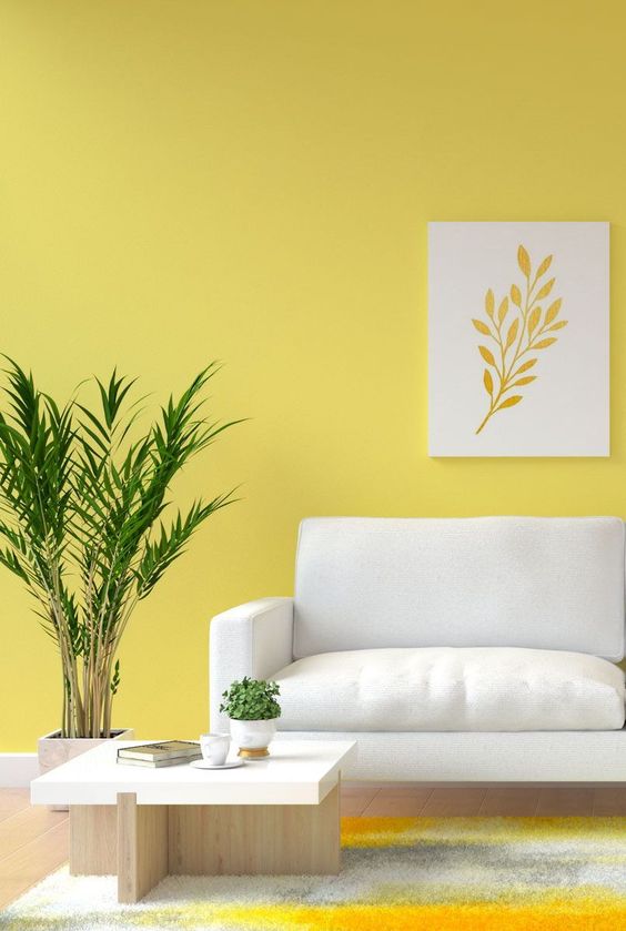 White and Yellow