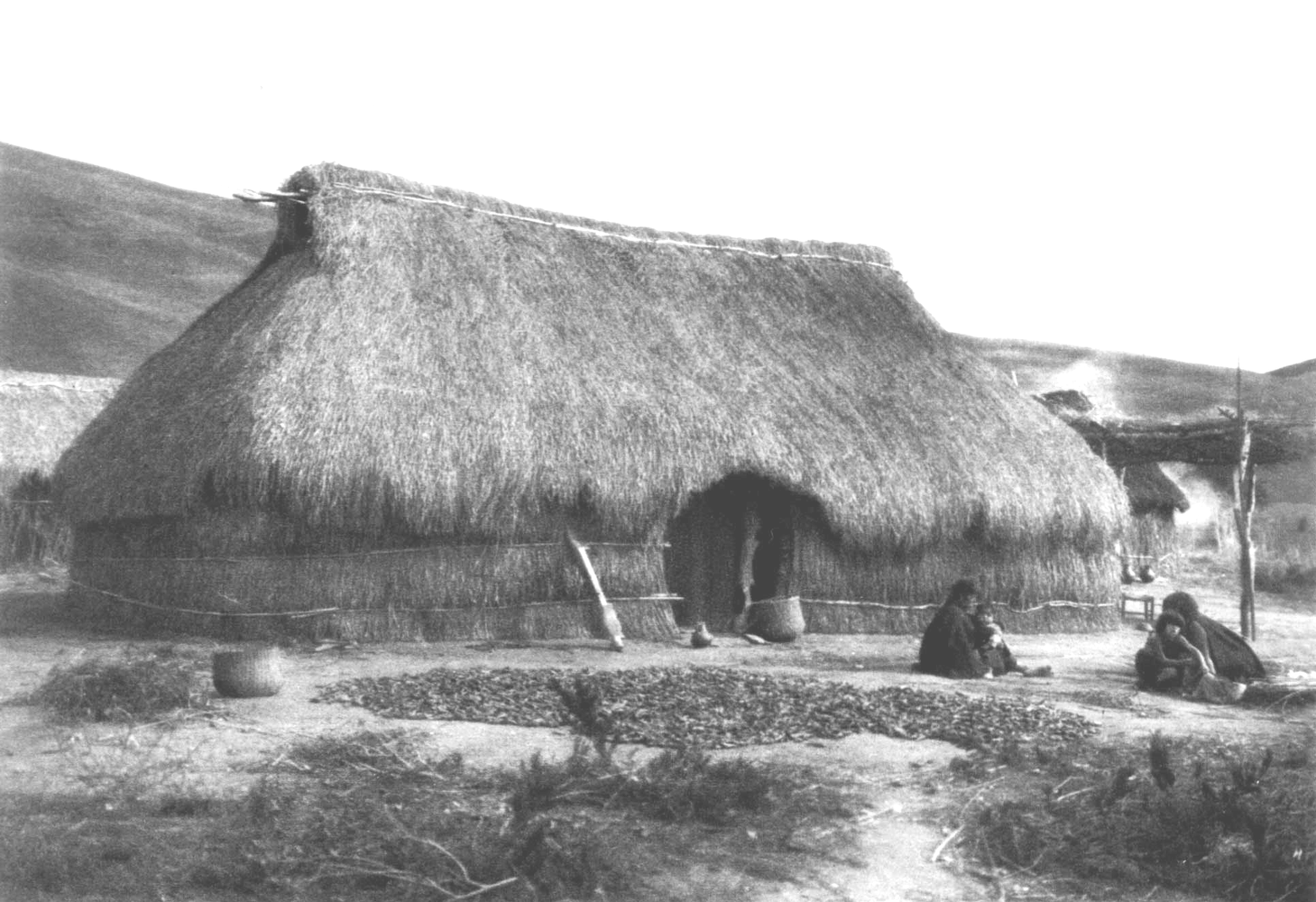 Ruca Araucana in Southern Chile - vernacular architecture in India