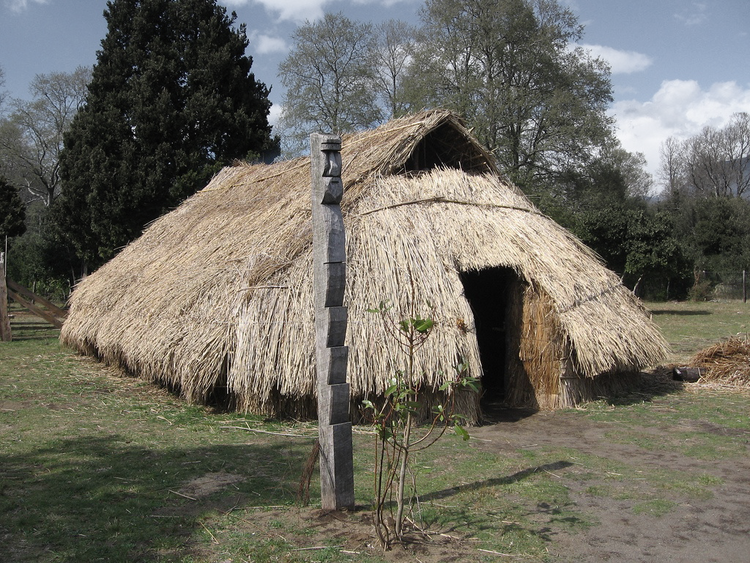 Ruca Araucana - vernacular architecture in India