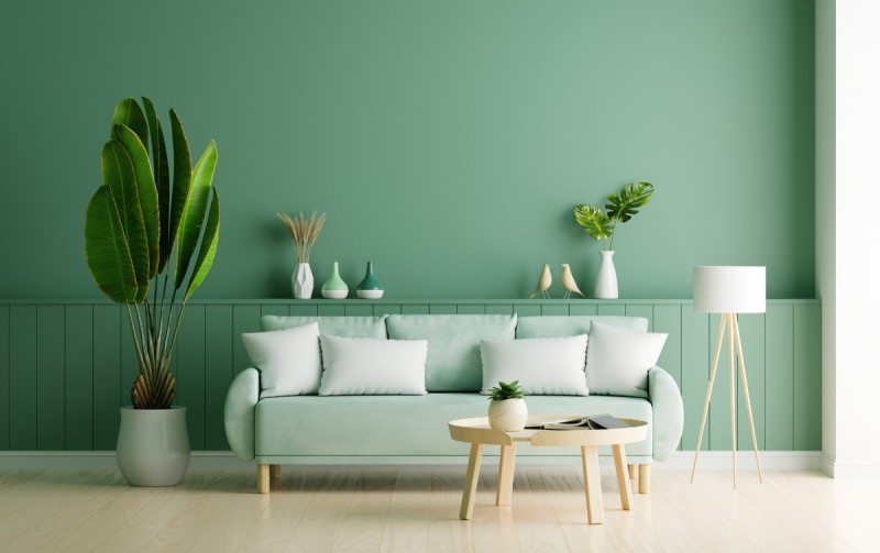 Wall Colour Designs for Hall in Green and White - Hall Wall Colour Combination